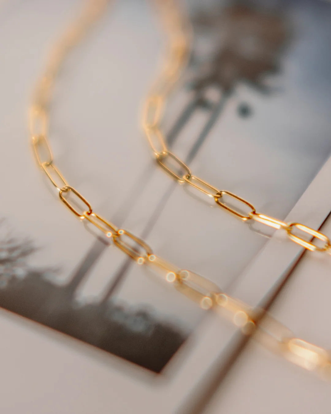 Ford & Fossil Goldie Paperclip Necklace
