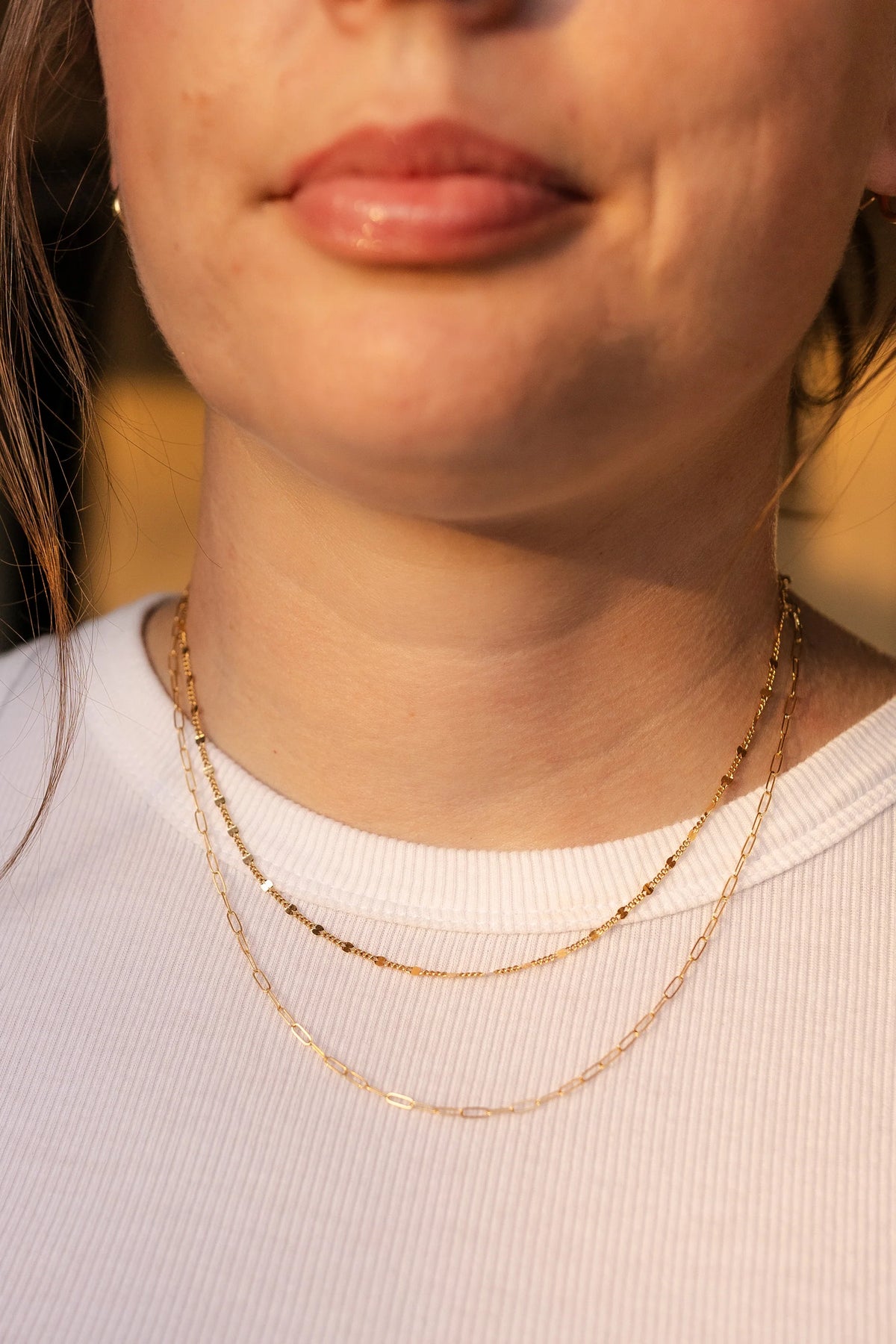 Ford & Fossil Goldie Paperclip Necklace