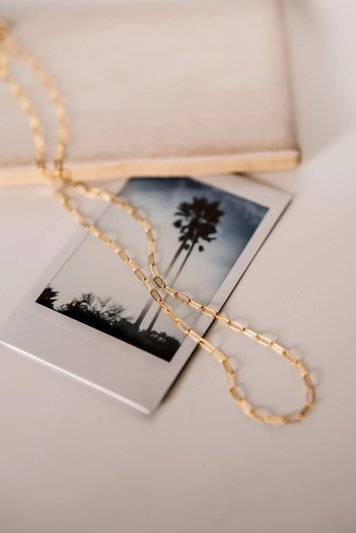 Ford & Fossil Goldie Paperclip Necklace